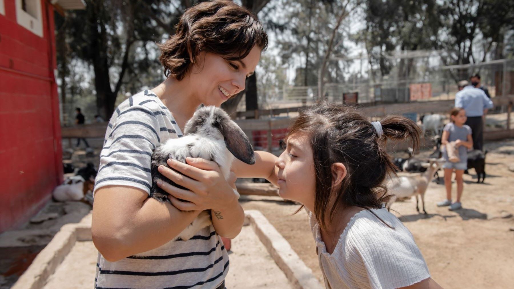 el Congreso rechaza educar sobre bienestar animal en las aulas durante una votación parlamentaria