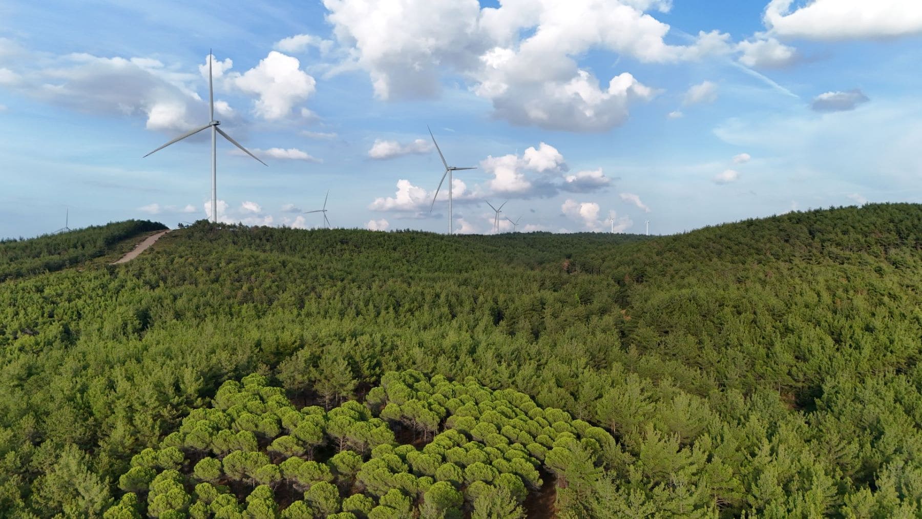 la autonomía energética de Europa impulsa la transición energética comunitaria