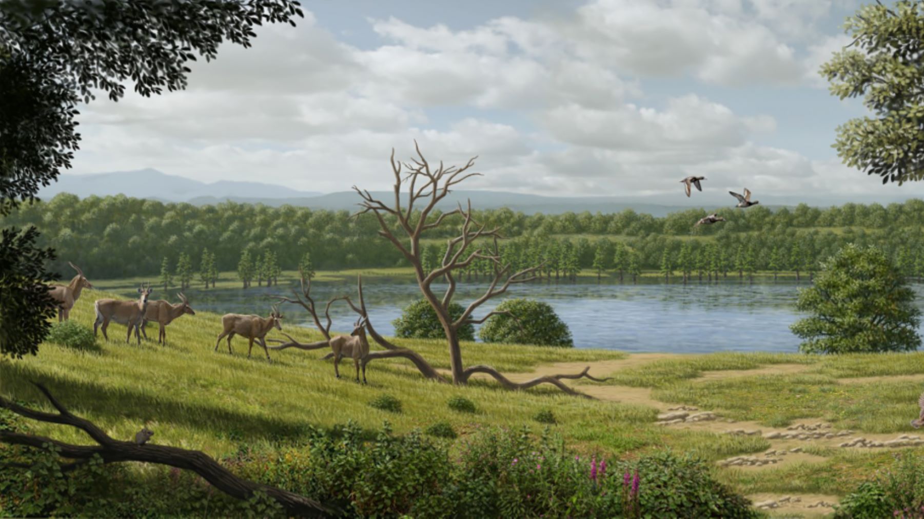 El gigante prehistórico que cambia la historia de los búfalos europeos