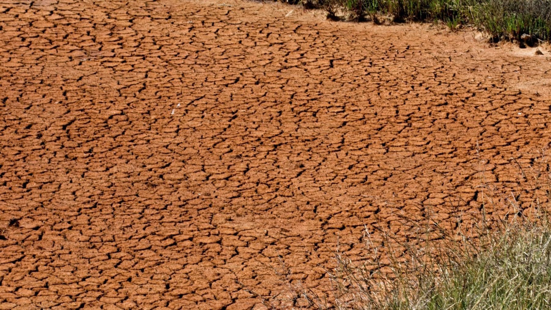 Europa acelera la adaptación climática pero sigue llegando tarde