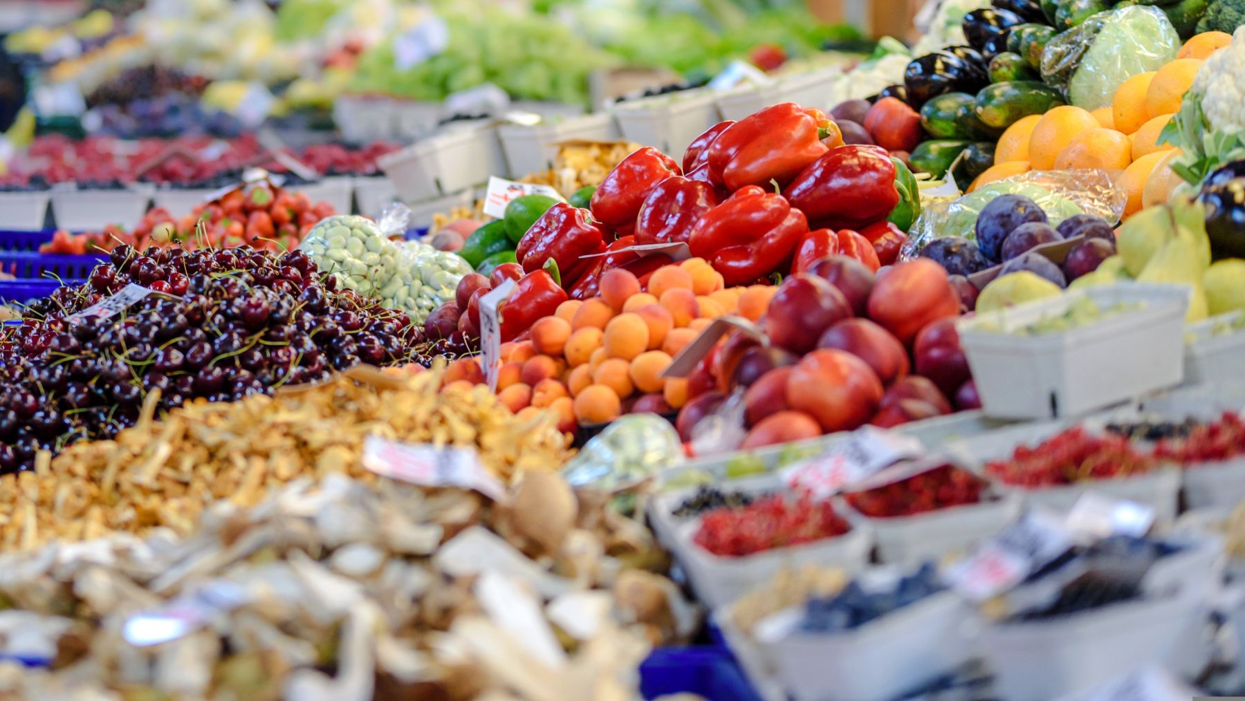 la producción ecológica vuelve a crecer en España