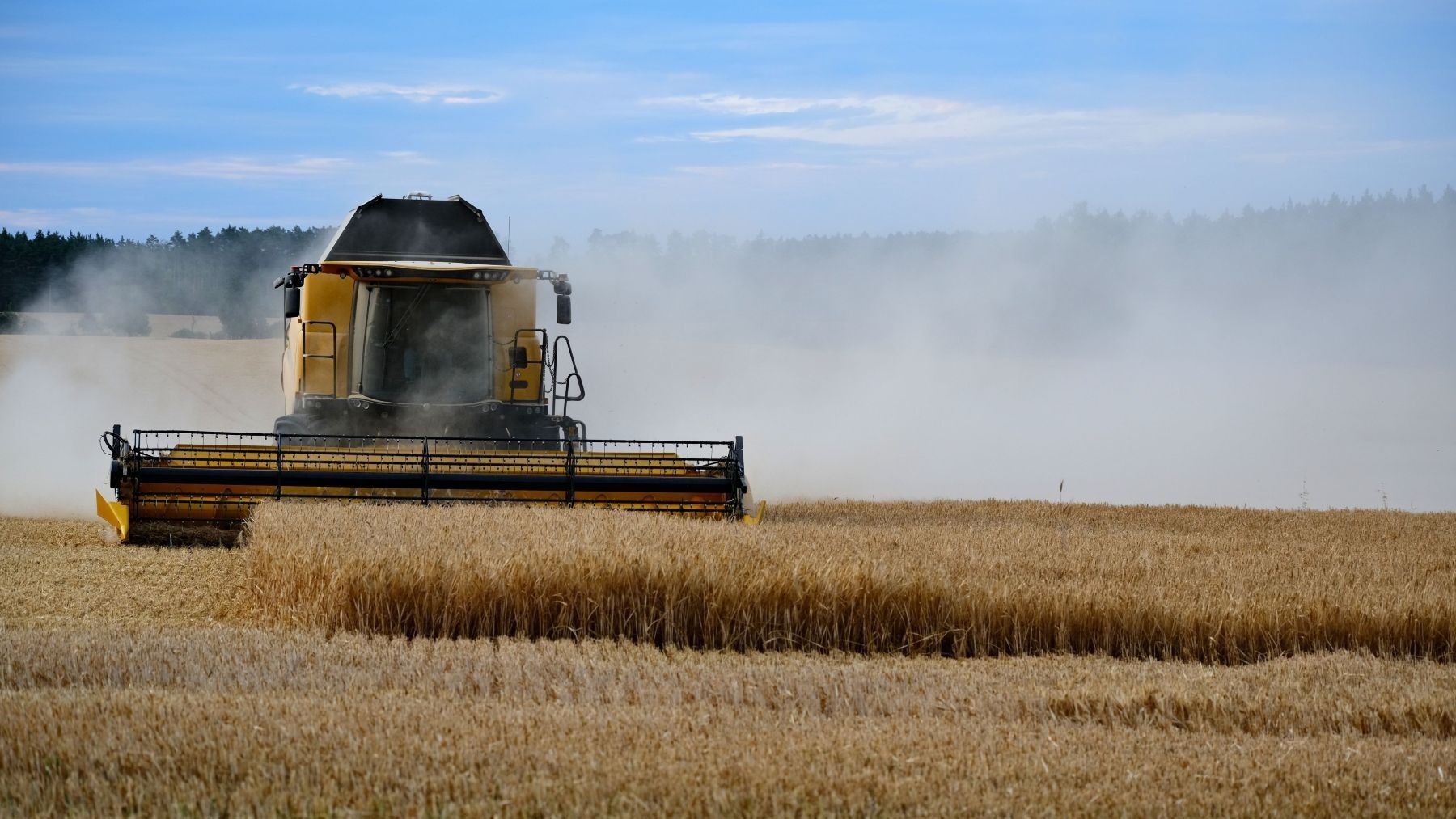 Cómo la bioeconomía circular puede transformar el campo y la industria