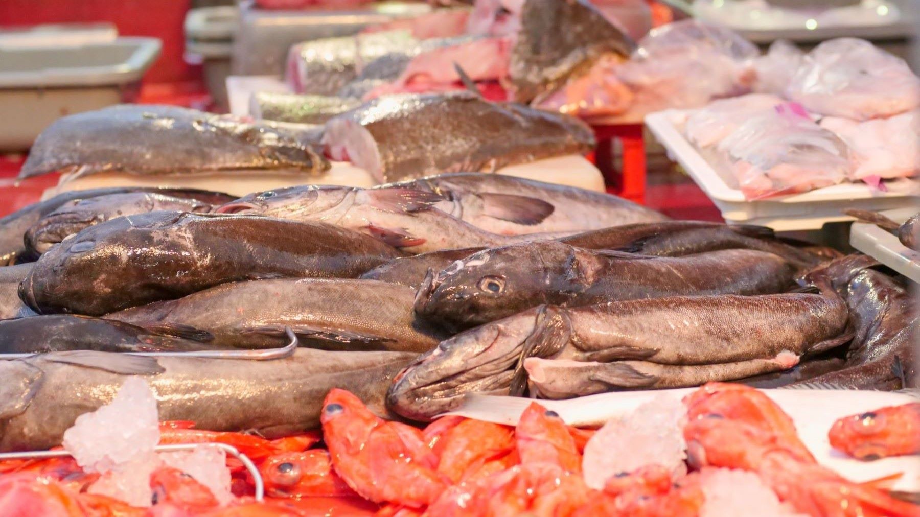 bisfenoles en envases de alimentos detectados durante un estudio científico