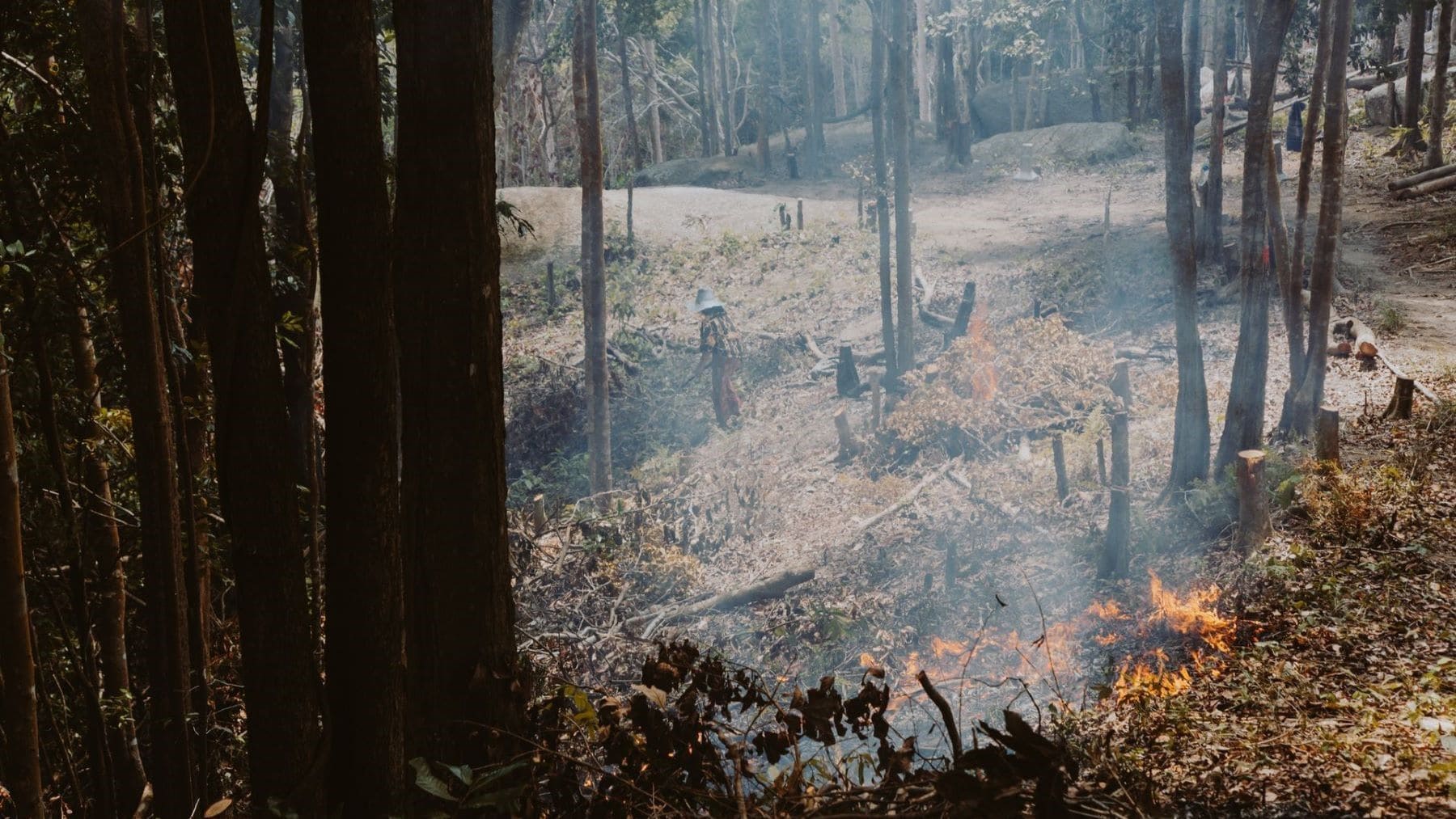 Los incendios extremos de 2025 marcaron un punto de inflexión