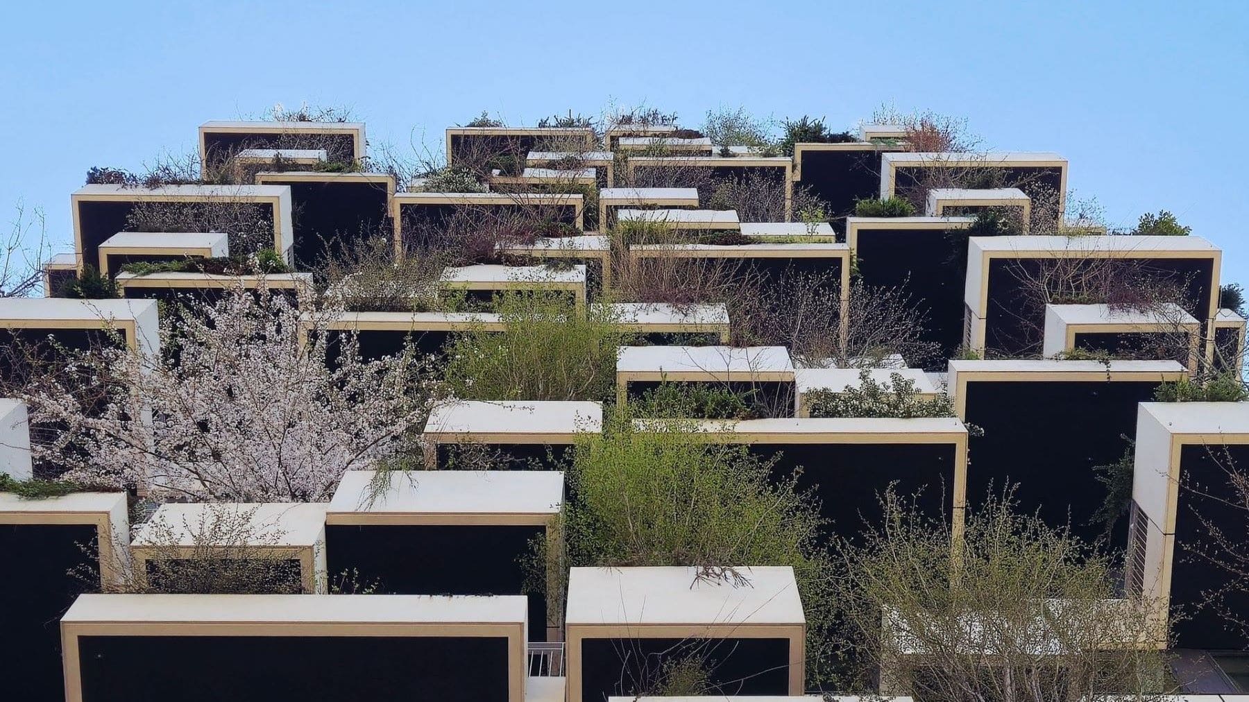 los edificios vivos del futuro
