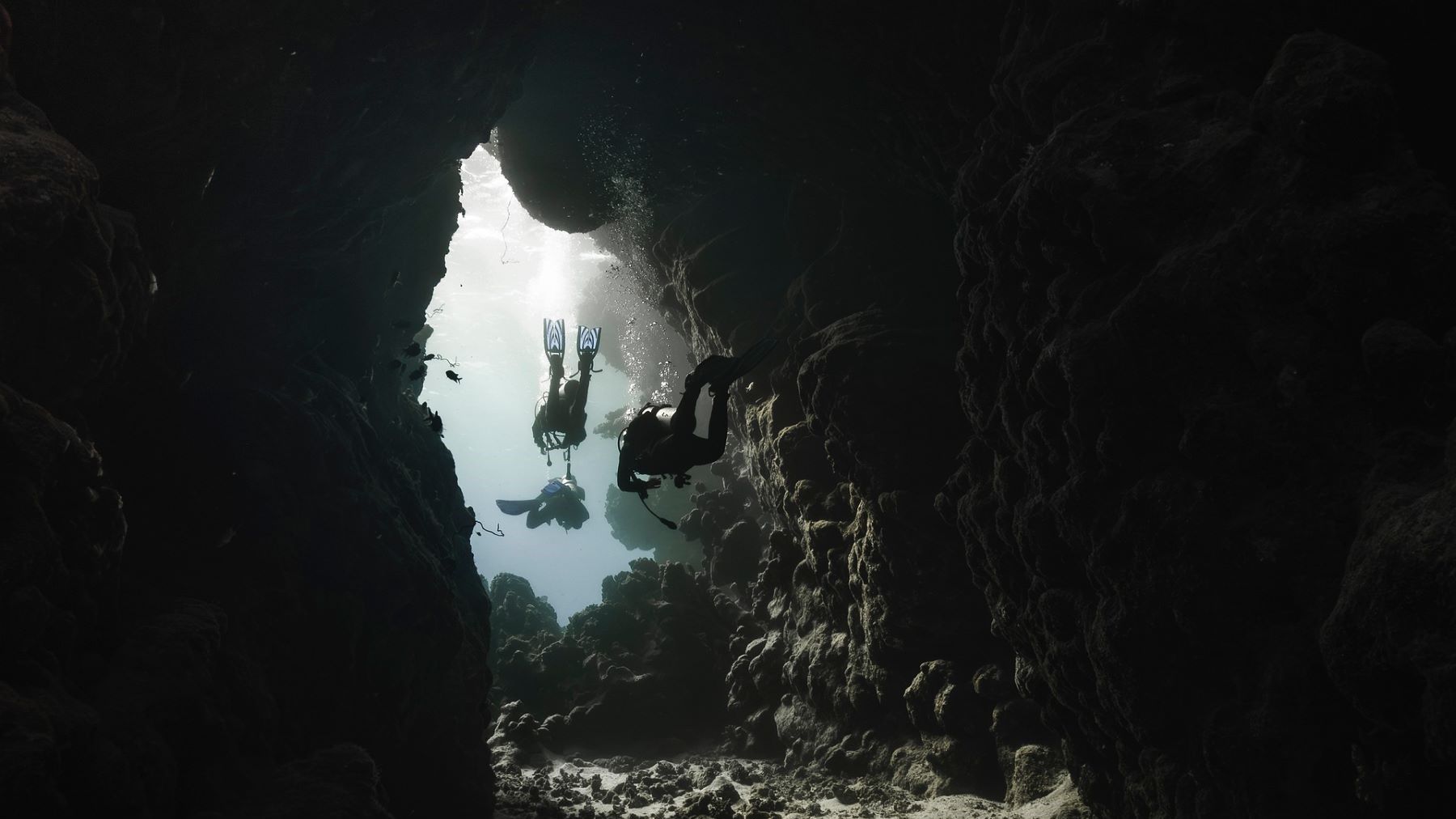 Andalucía protege las cuevas marinas y los arrecifes