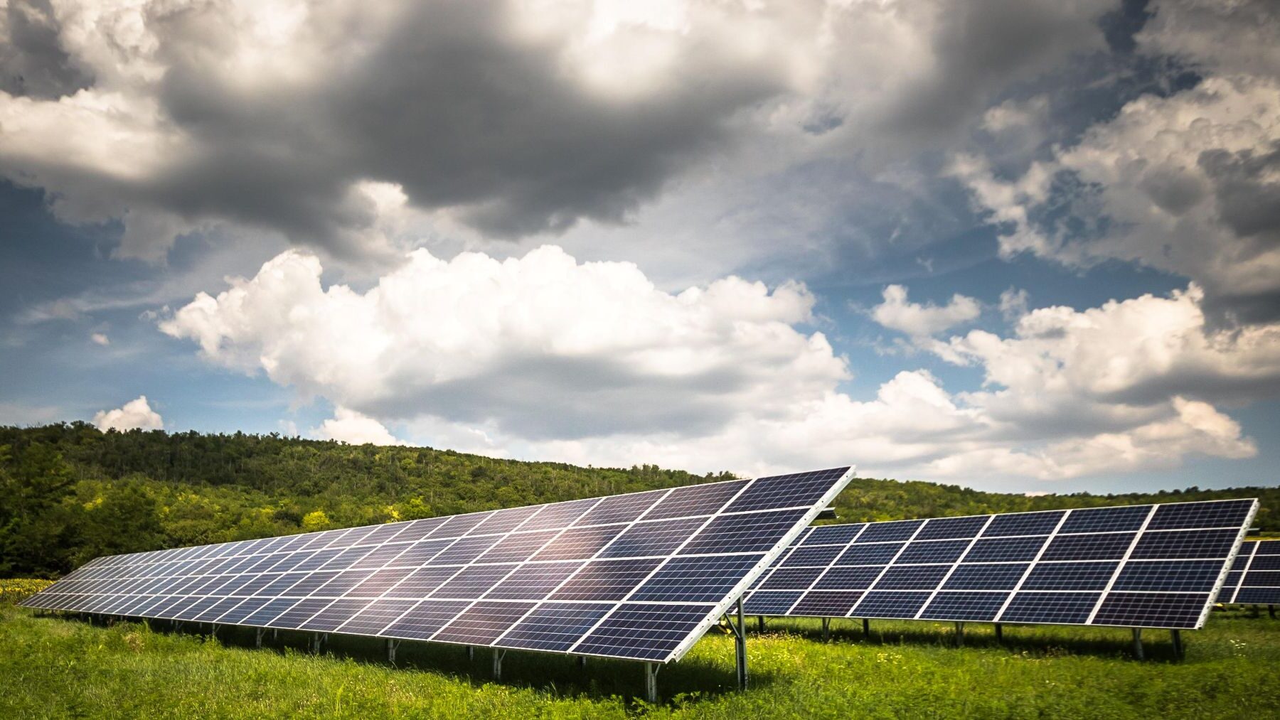 Las energías renovables lideran el crecimiento energético mundial en 2025