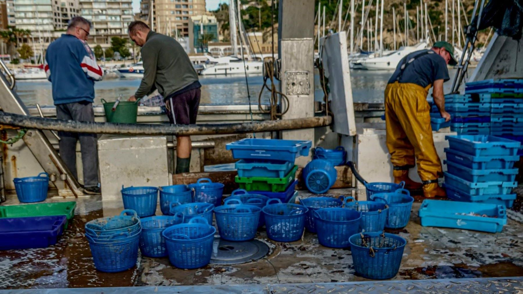 La pesca afectada por el cambio climático