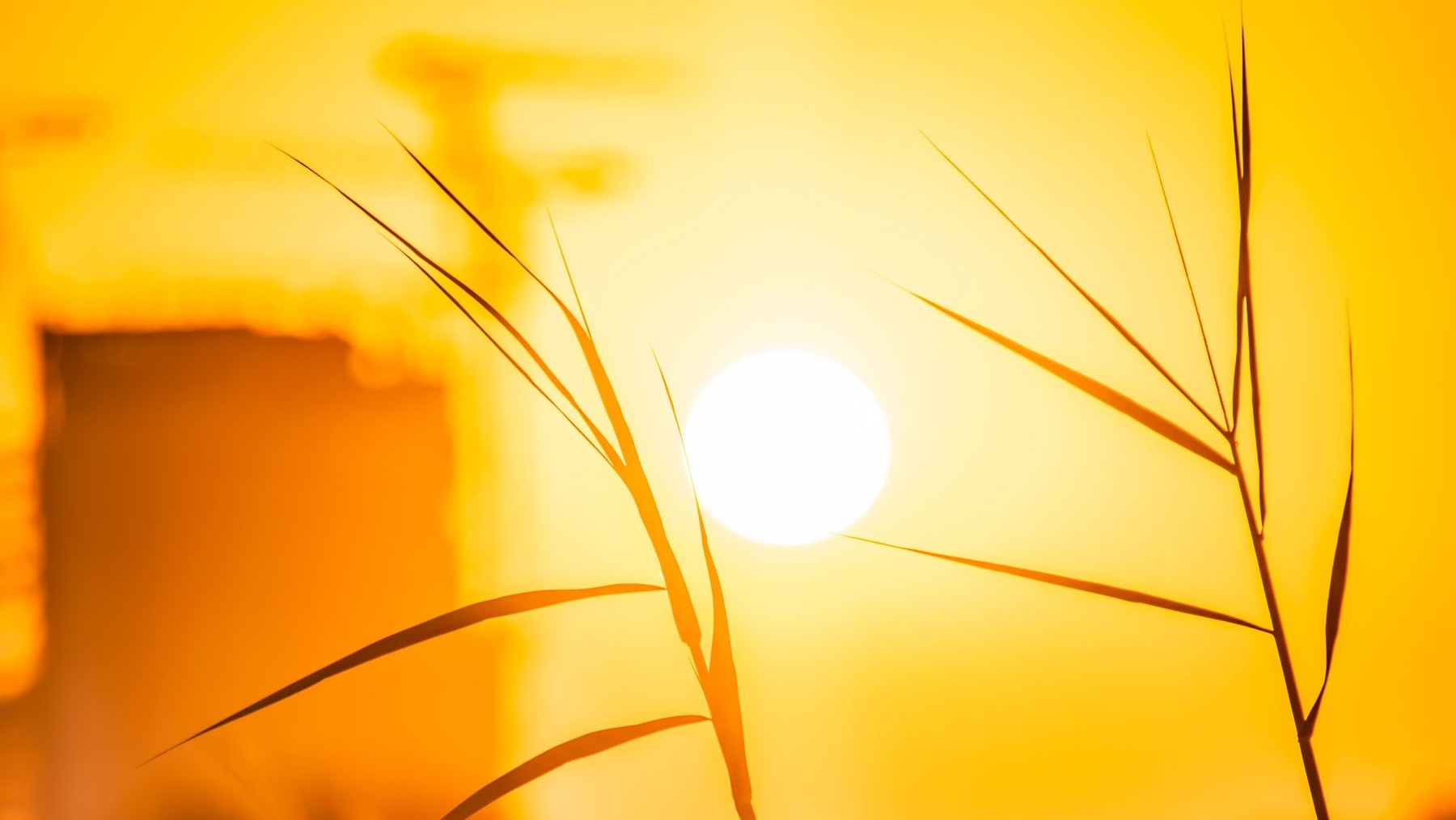 Las olas de calor serán cada vez más frecuentes en Europa