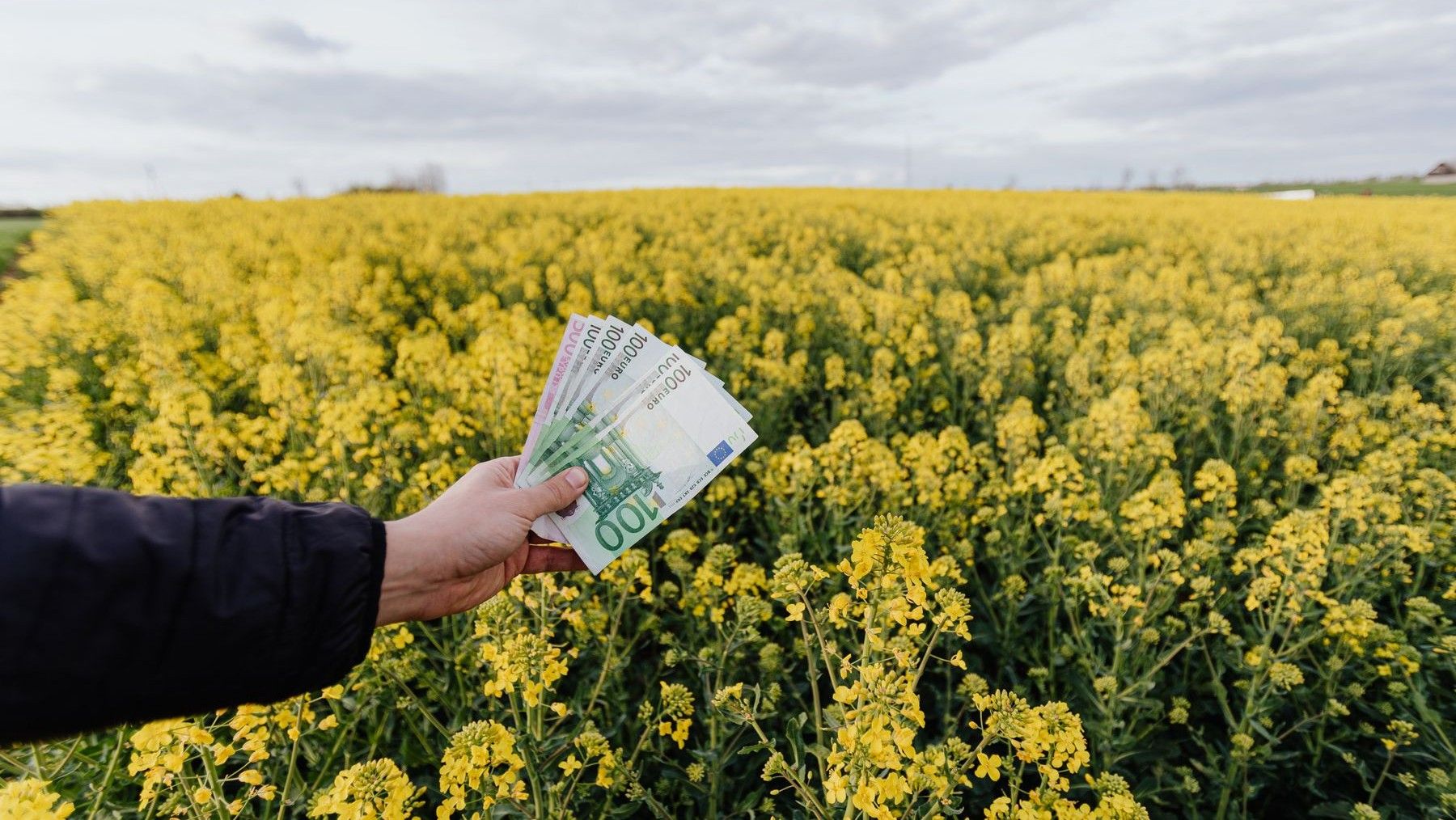 Millones de euros para la biodiversidad en España