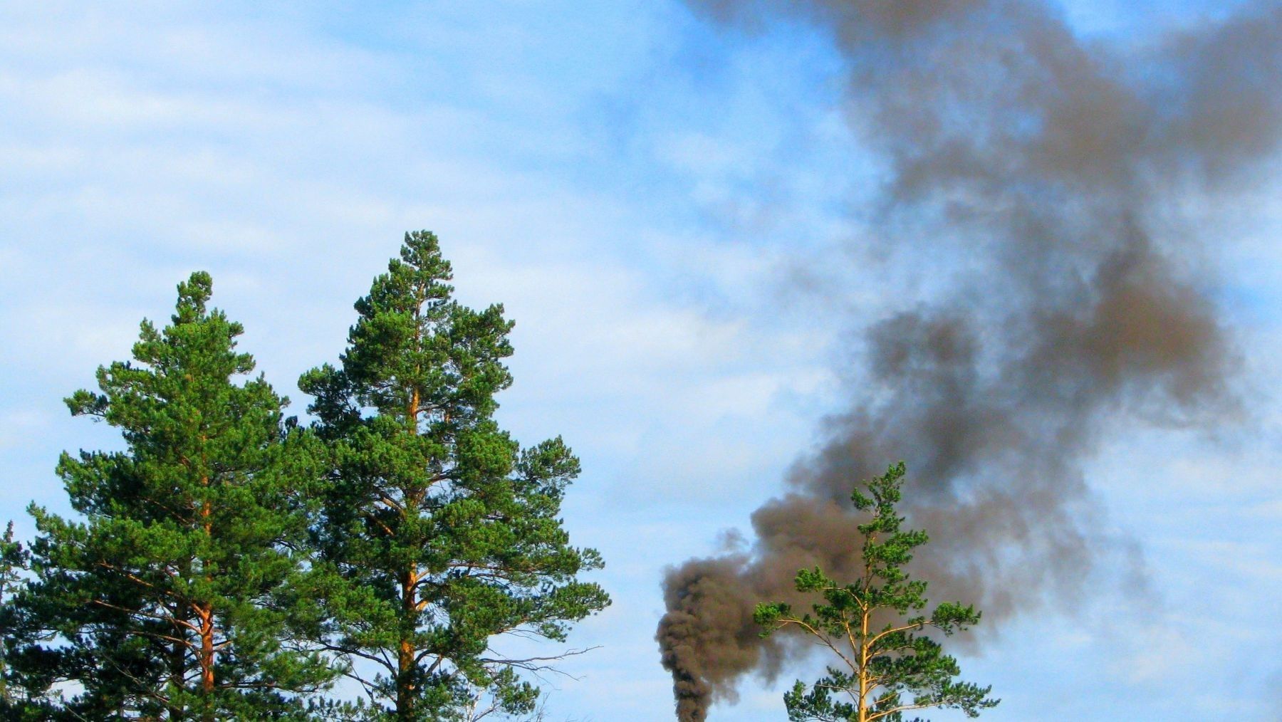 Galicia estrena una app para alertar incendios en los montes gallegos