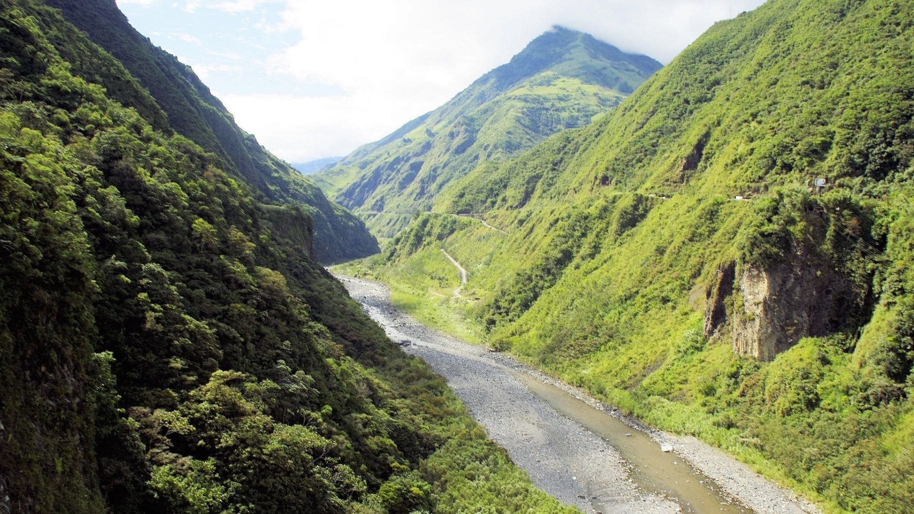 ECOticias.com - El Periódico Verde 33 El misterioso mamífero que escondía Ecuador descubierto en el Parque Nacional Sangay