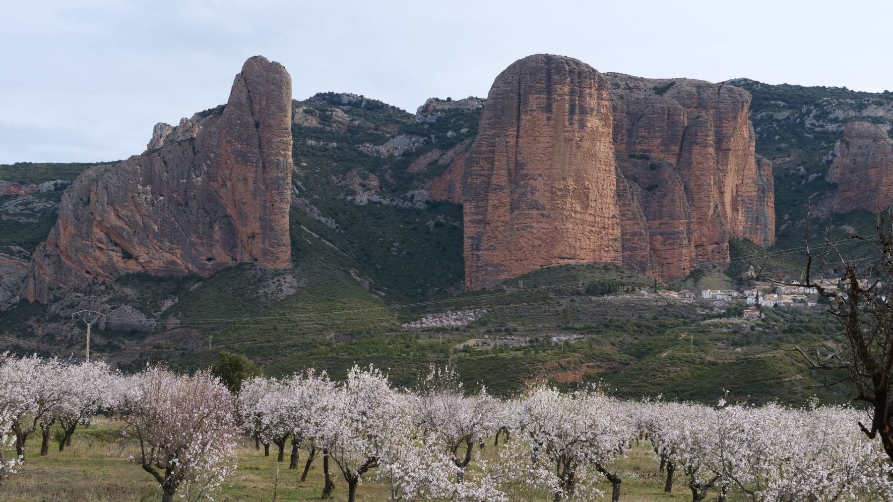 Aragón impulsa la protección de sus espacios naturales en parques y áreas protegidas