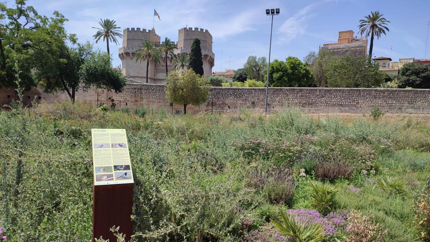 El Jardín de Polinizadores de Valencia