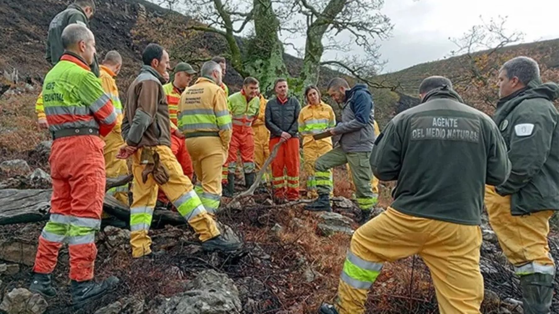 Cantabria refuerza la prevención de incendios forestales en los municipios