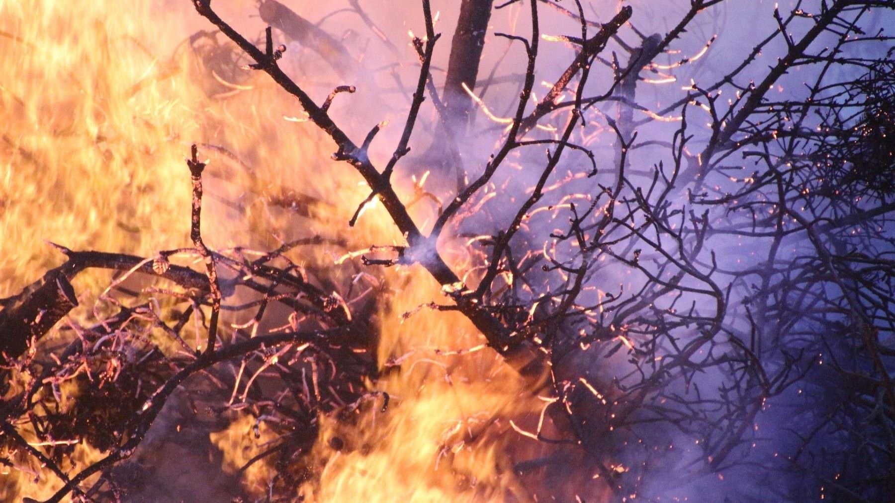 los incendios forestales arrasan cientos de hectáreas en Galicia
