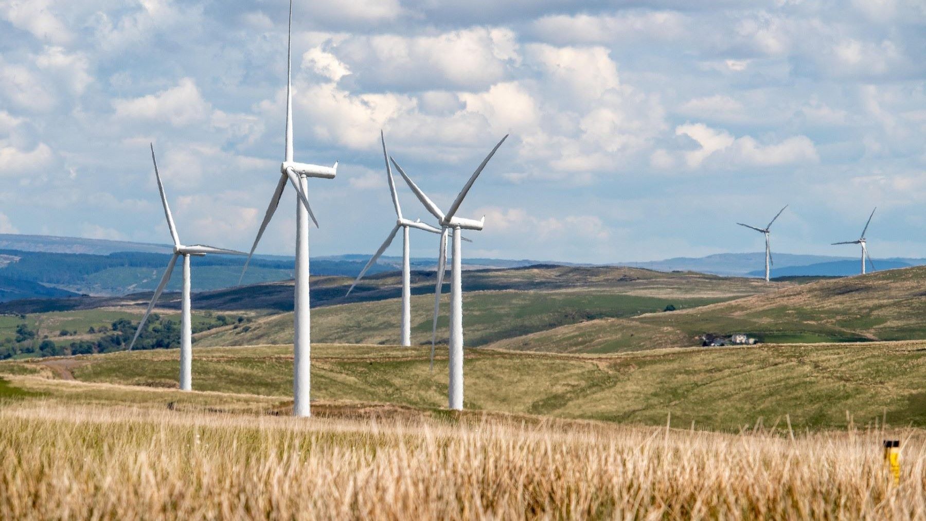 los municipios rurales impulsan la energía eólica sostenible mediante parques eólicos