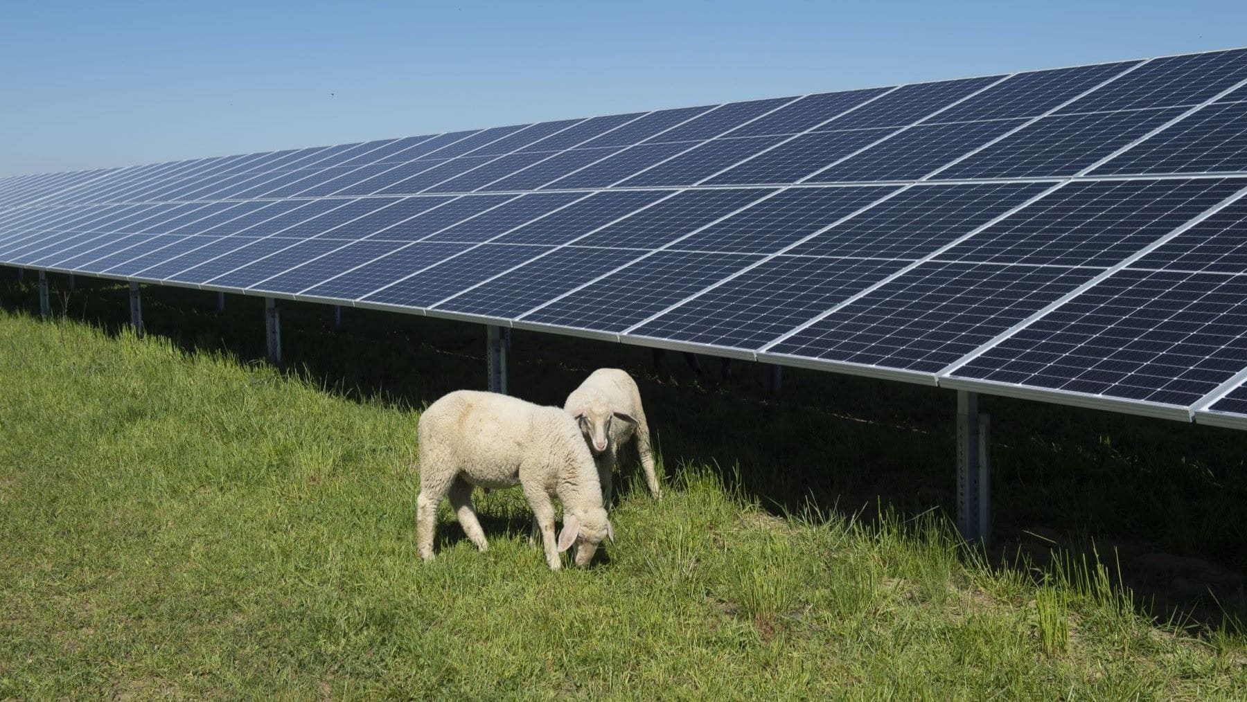 la energía solar fotovoltaica es clave para frenar el cambio climático