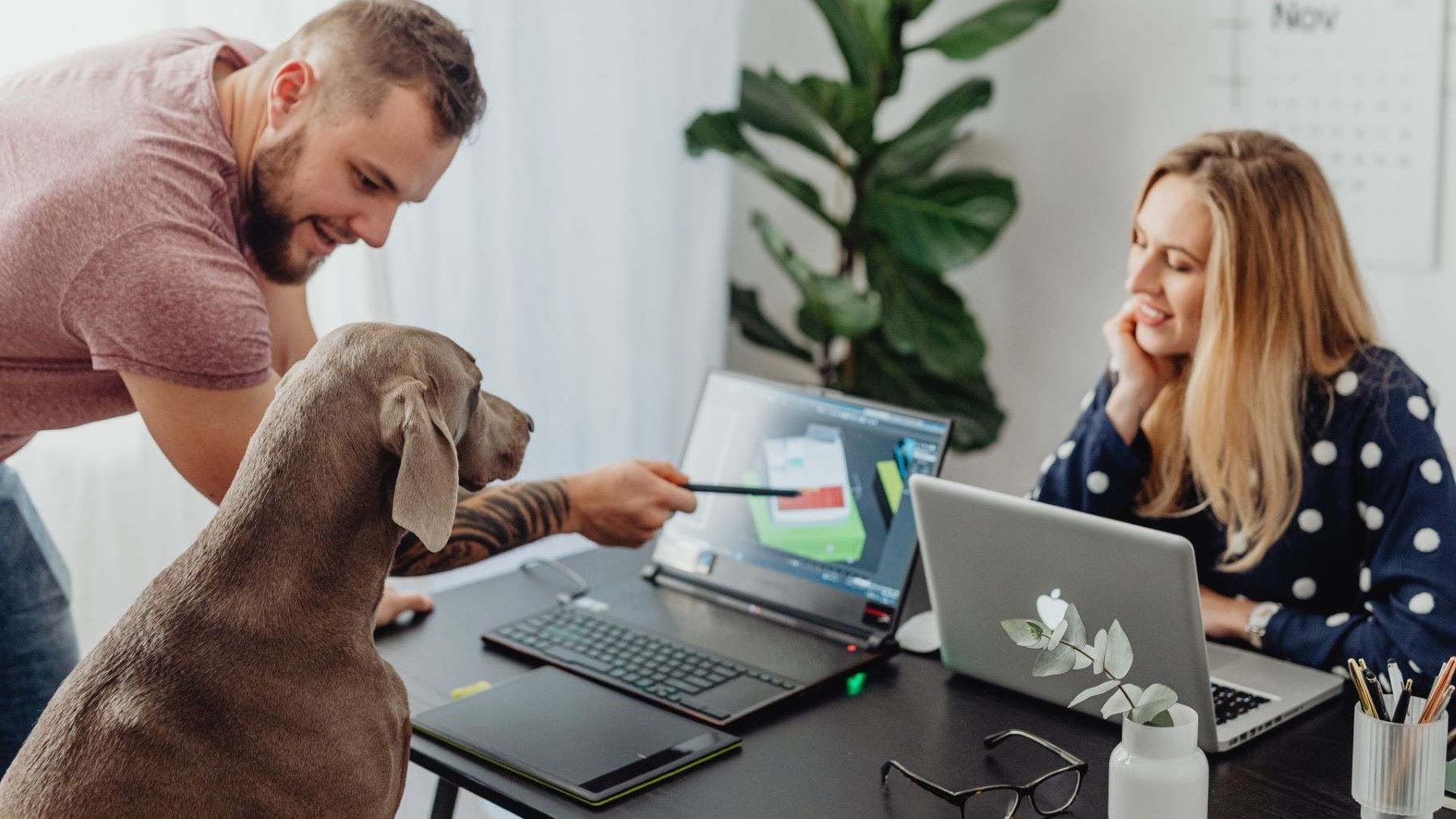 Día de Llevar al Perro al Trabajo 2026