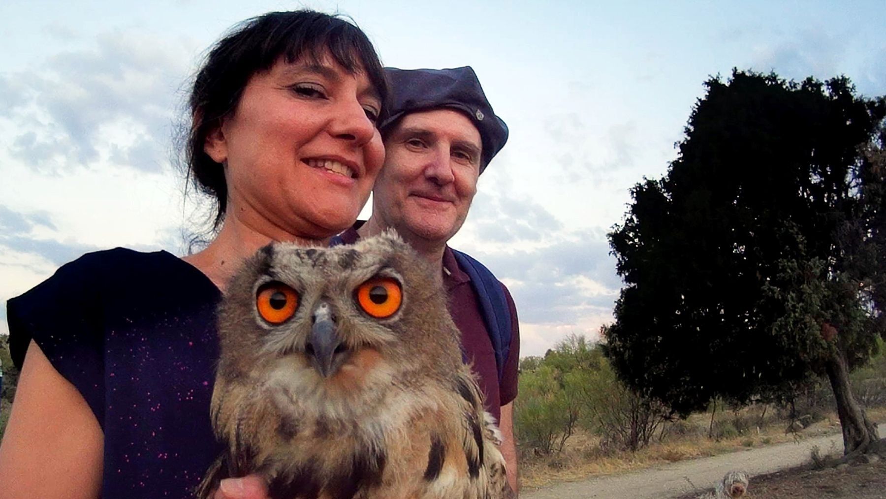 GREFA celebra 45 años salvando fauna silvestre y reconoce a referentes ambientales