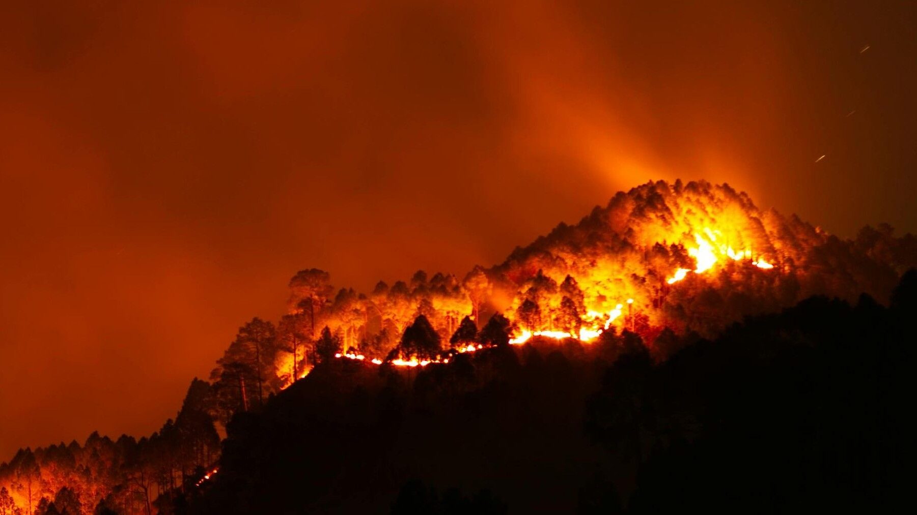 ECOticias.com - El Periódico Verde 34 Europa refuerza la prevención de incendios forestales como prioridad climática