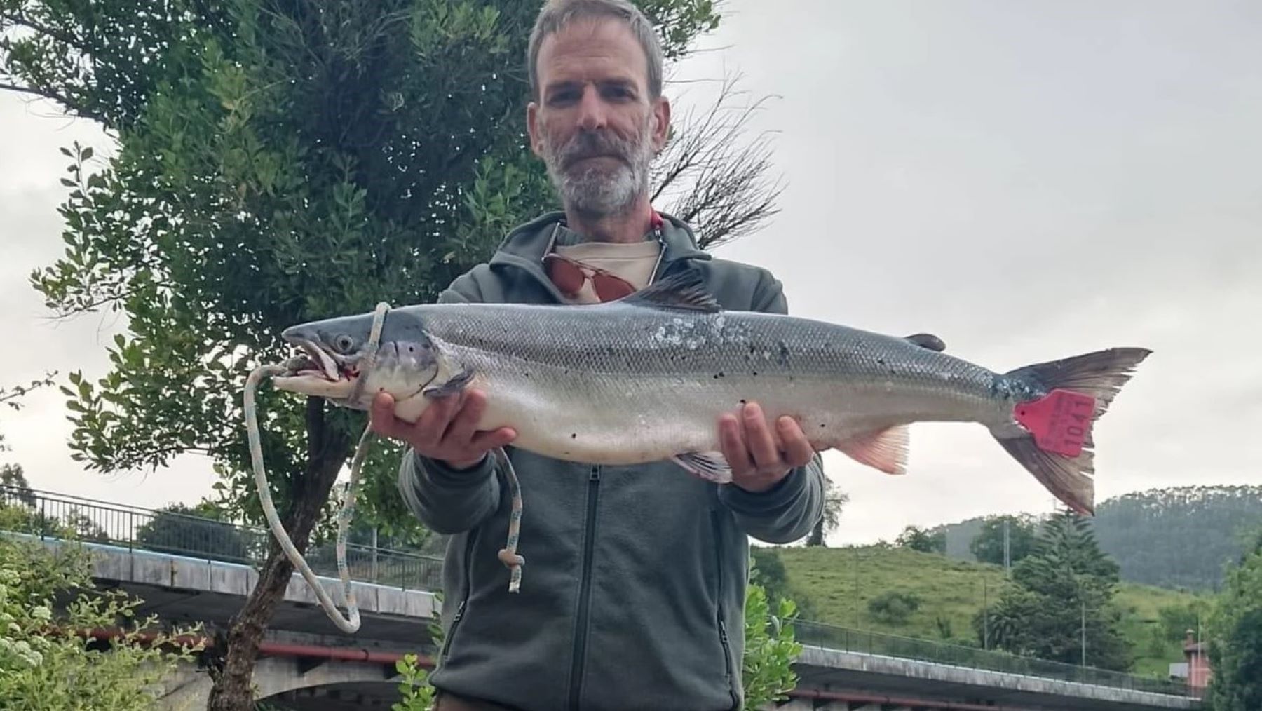 El campanu del Nansa inaugura la temporada del salmón en Cantabria