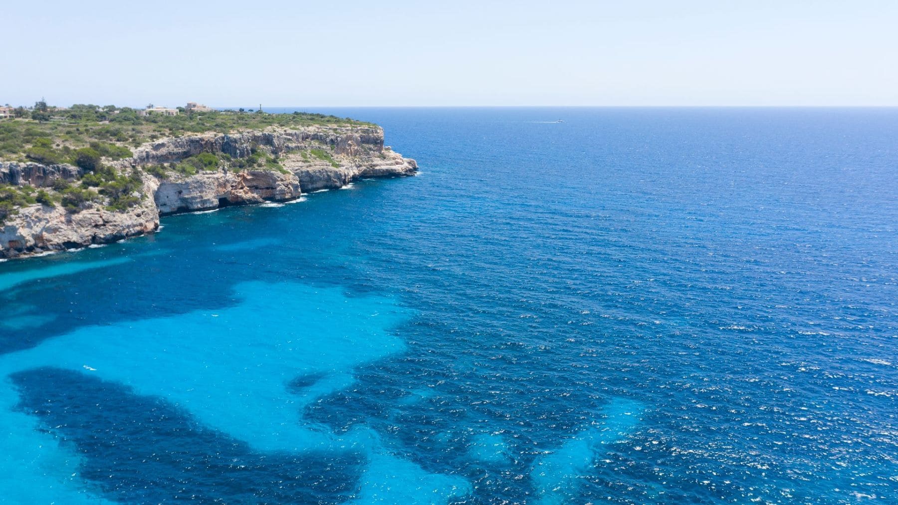 vigilancia de la posidonia en Baleares durante labores de control marítimo