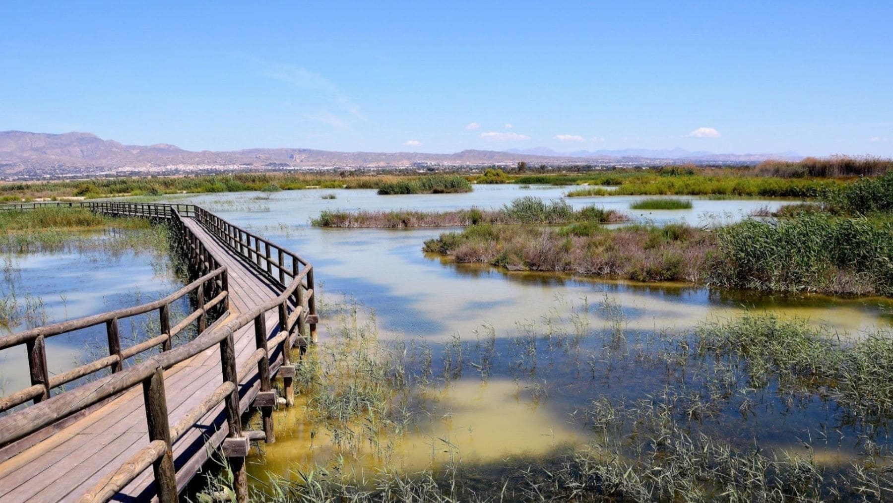 Fundación Global Nature premiada con el LIFE Award 2026 por su trabajo en humedales mediterráneos