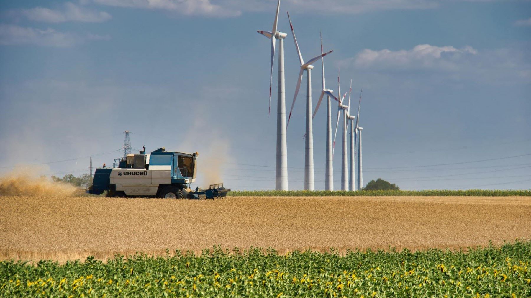 Transición energética y mundo rural