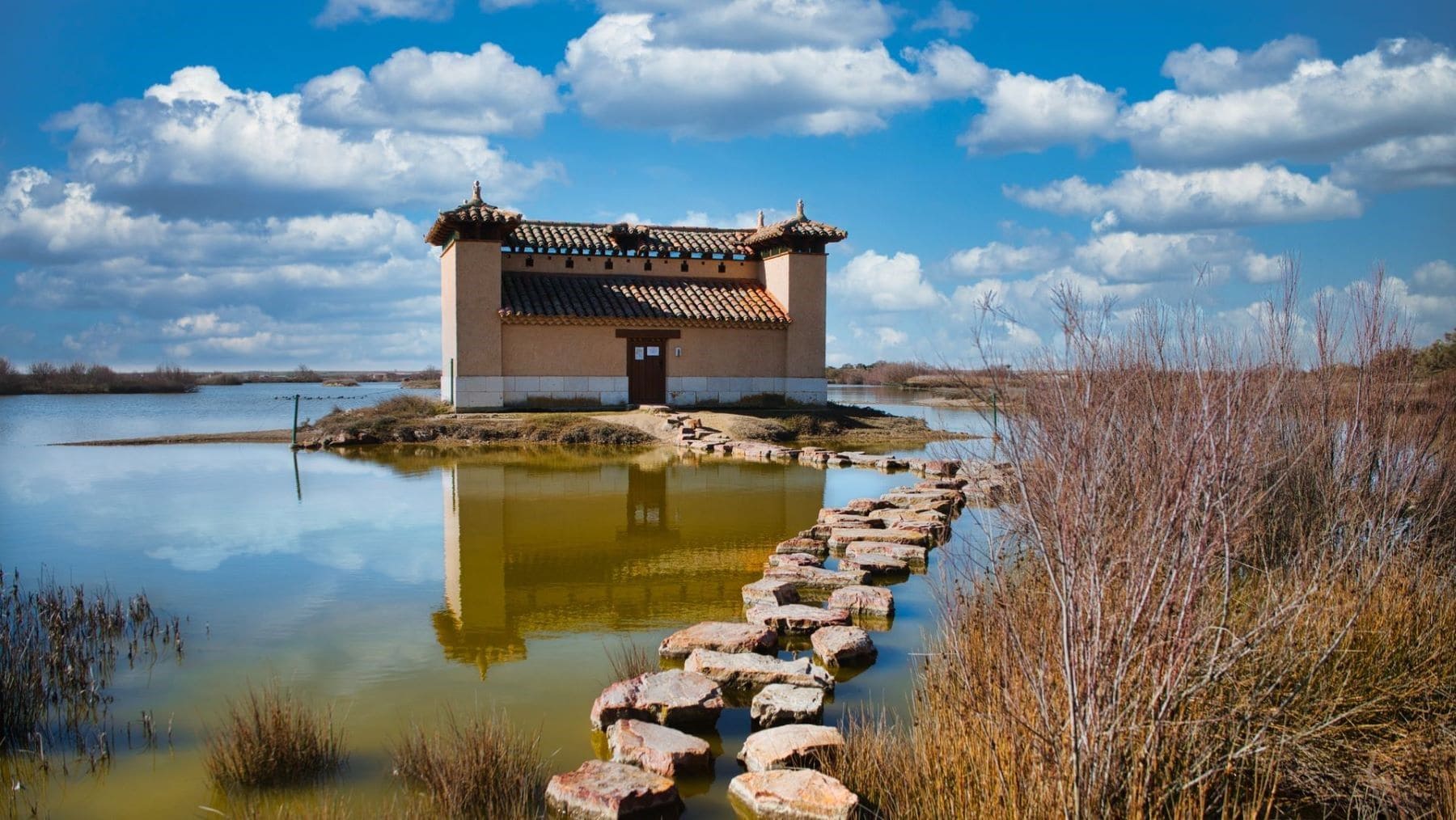 España llega sin financiación al gran plan para restaurar la naturaleza