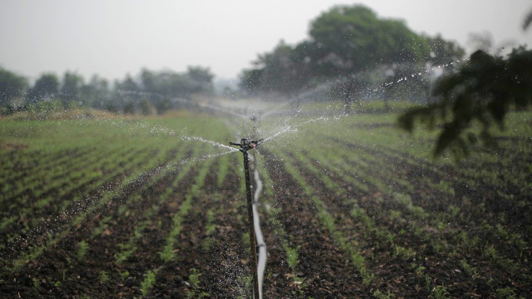el agua regenerada será clave para combatir la sequía