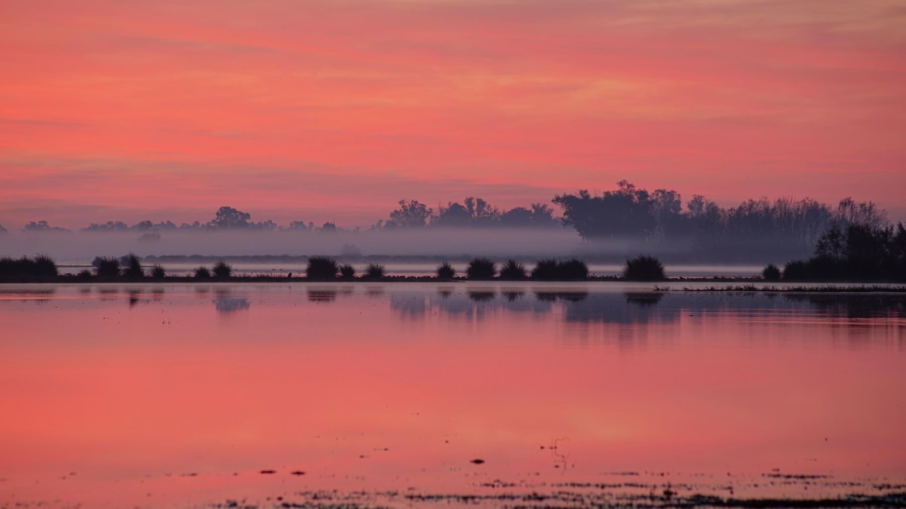 El agua invisible que ayuda a Doñana a sobrevivir sin lluvia