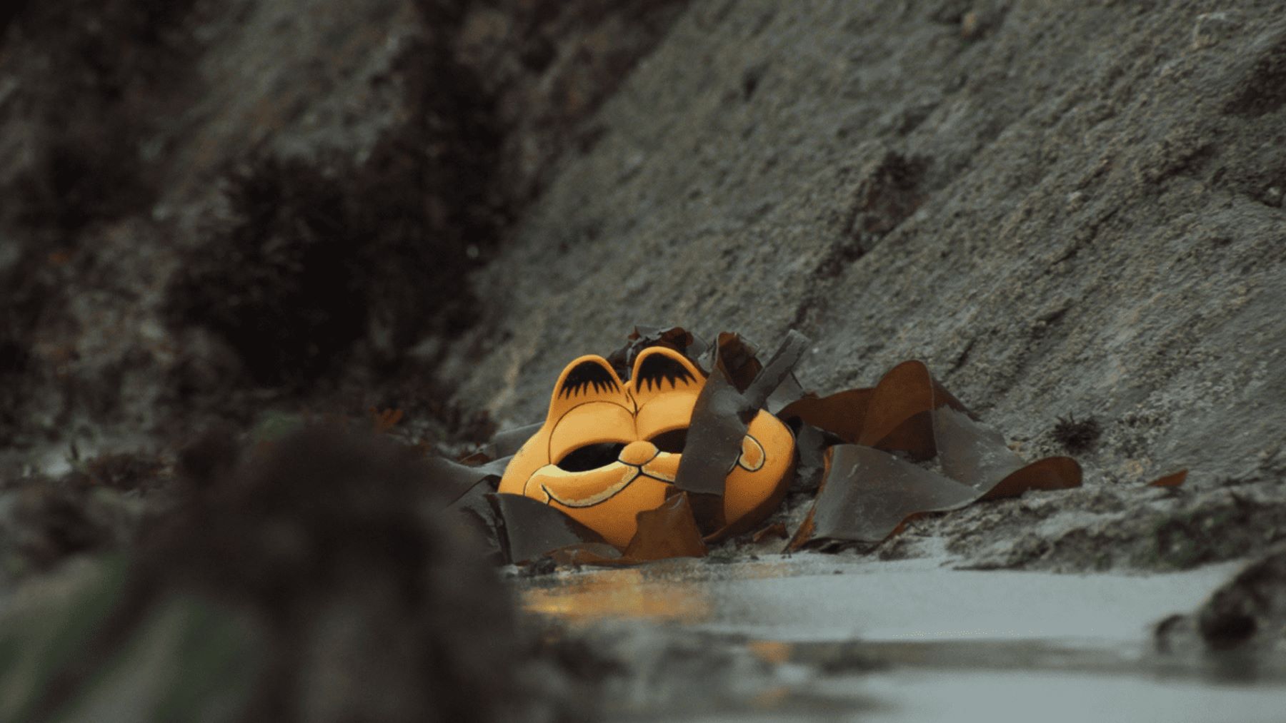 el documental de los teléfonos Garfield en Bretaña y los residuos encontrados en la costa francesa