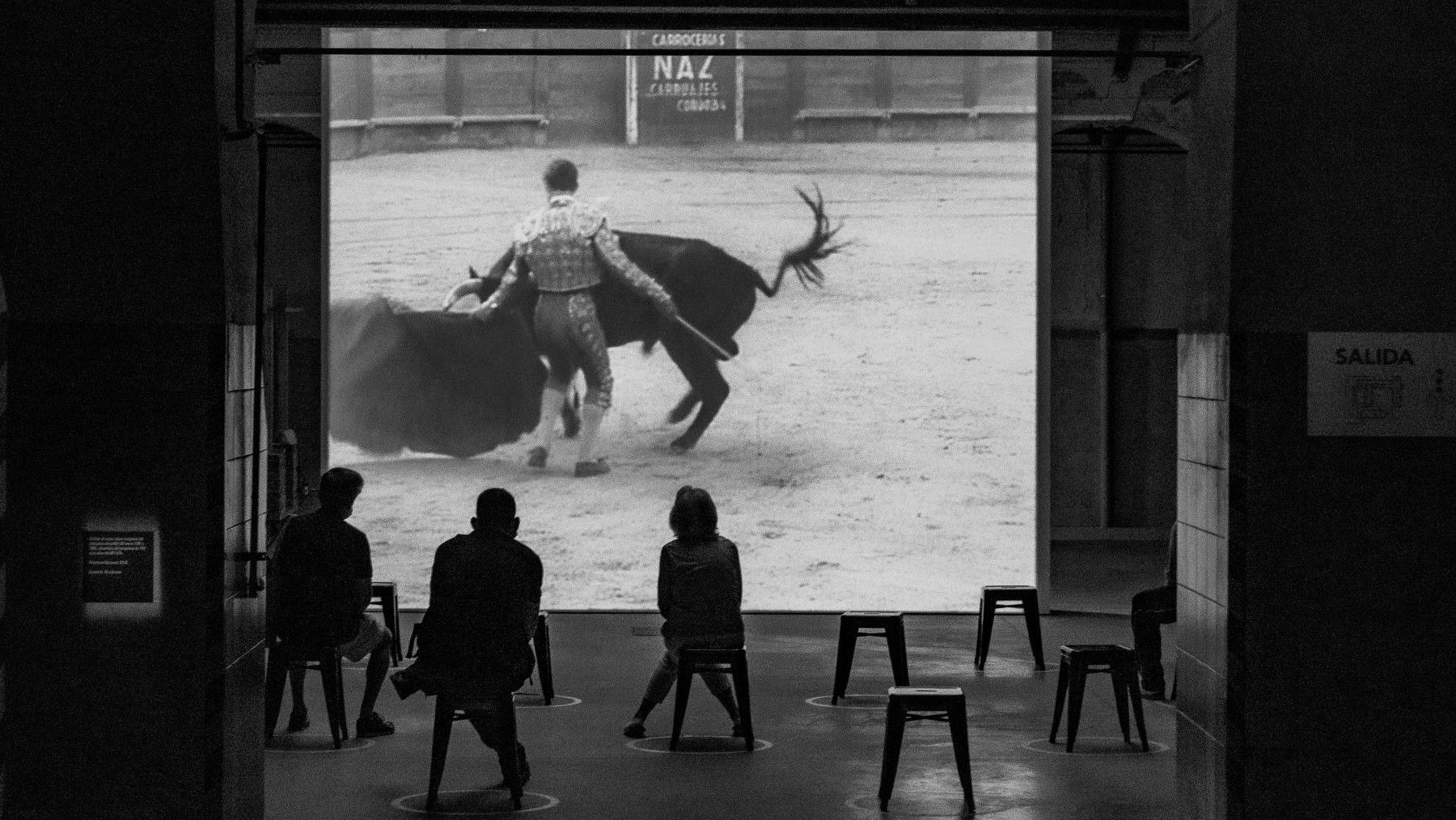 Día Mundial Antitaurino 2026