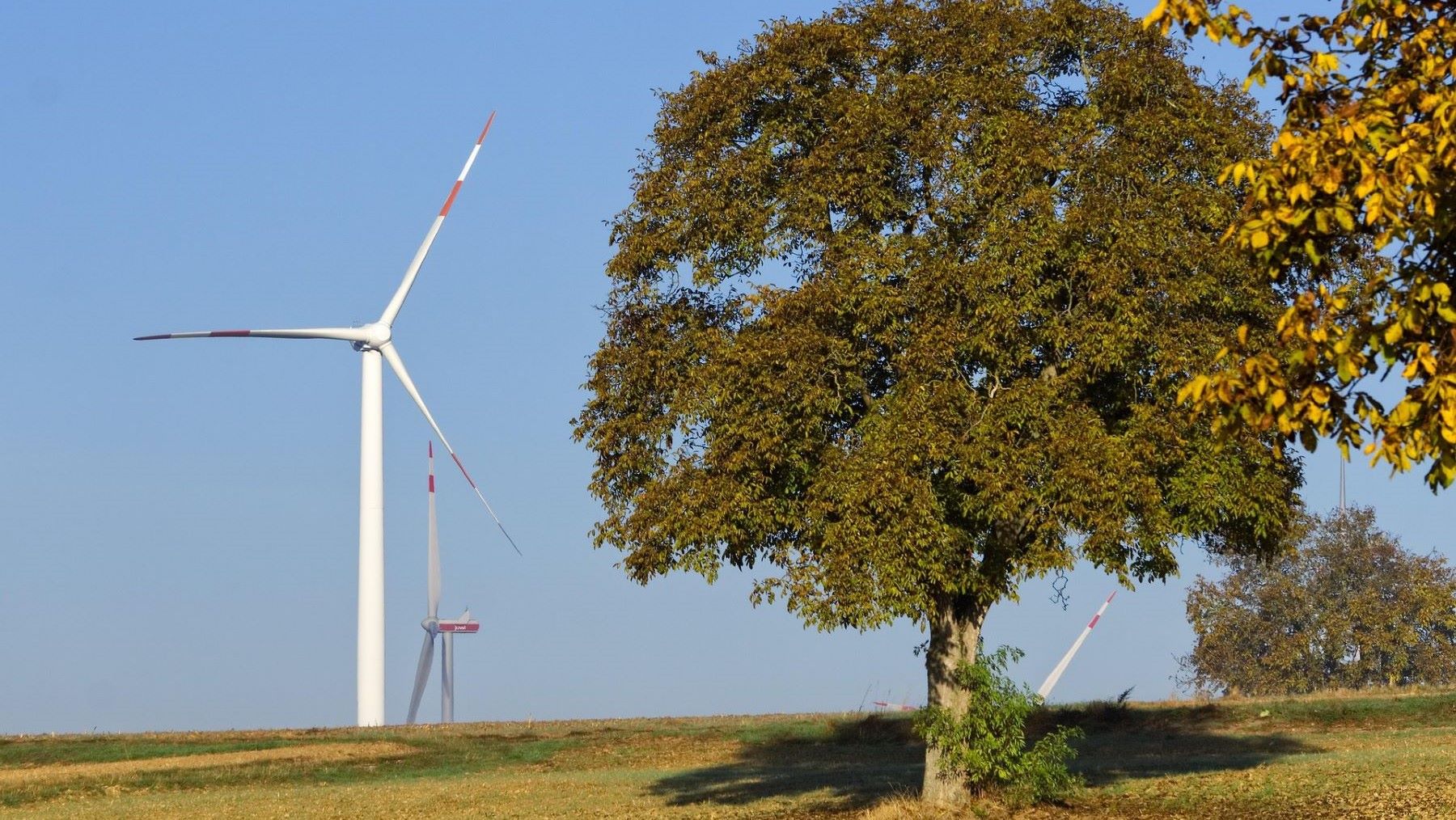 Aragón acelera la transición energética con más de 900 MW y nuevos empleos