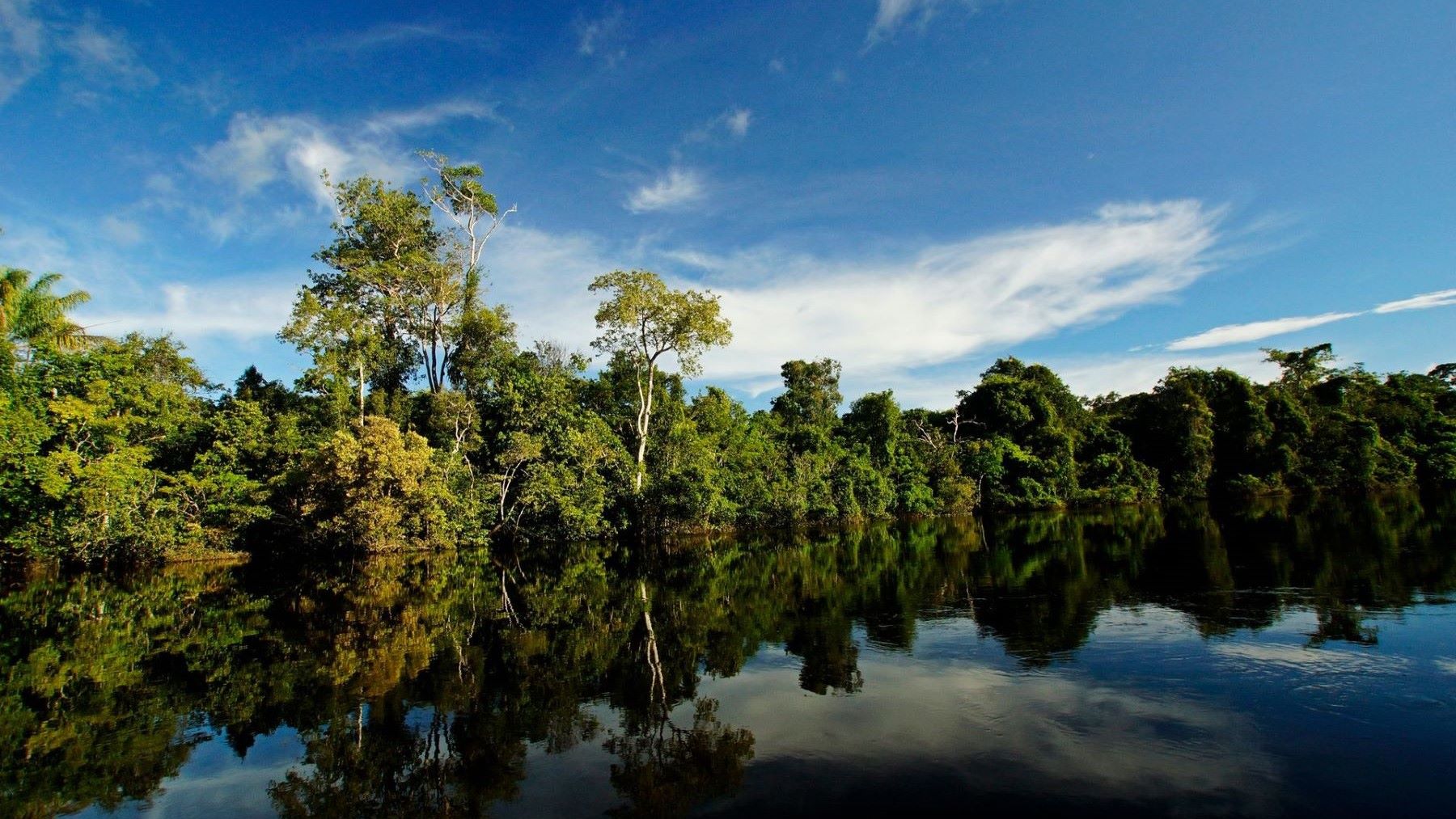 Brasil lanza una ofensiva histórica para proteger la Amazonía