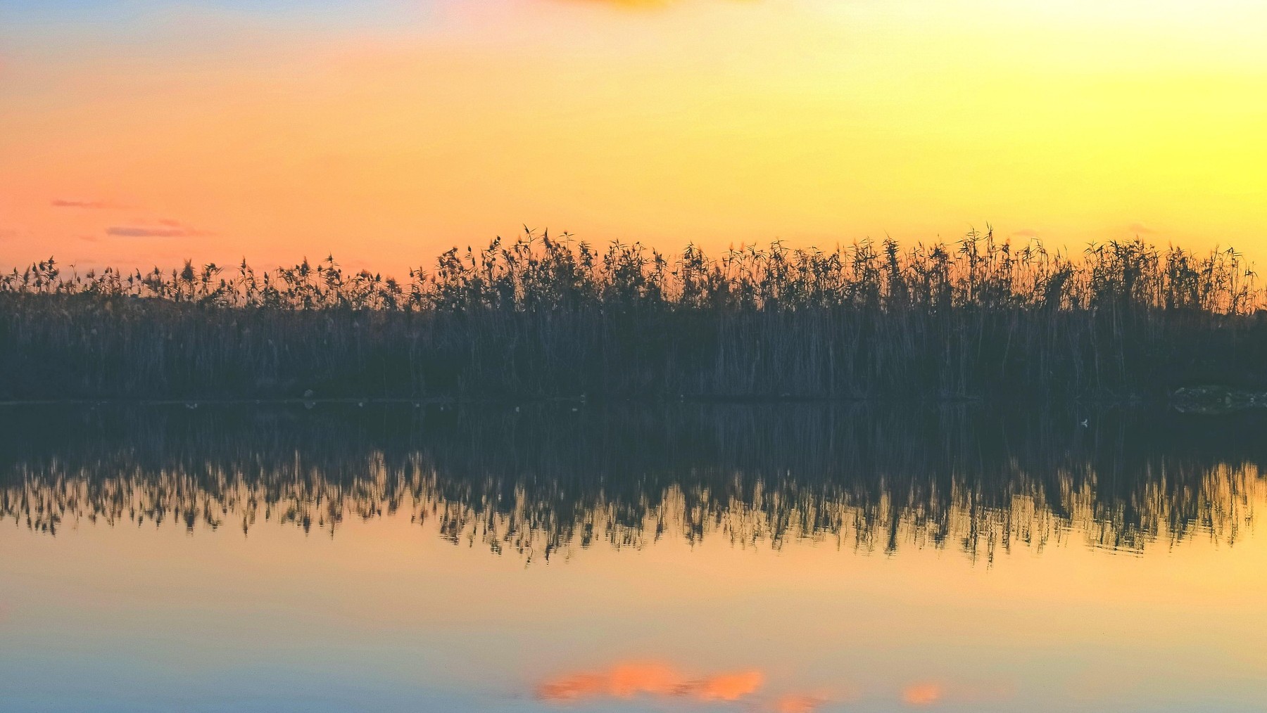 WWF rechaza levantar restricciones de riego en Doñana por el estado del acuífero