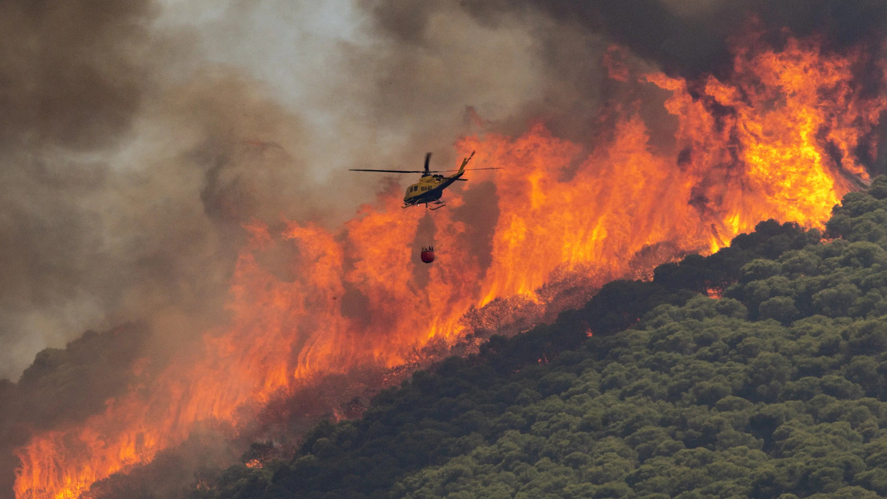 los caminos públicos bloquean la extinción de incendios en una zona forestal de Huelva