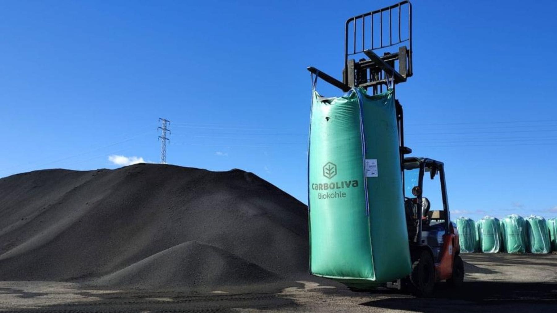 Biochar elaborado con huesos de aceituna de Carboliva que se utilizará en el nuevo asfalto sostenible de Barcelona.