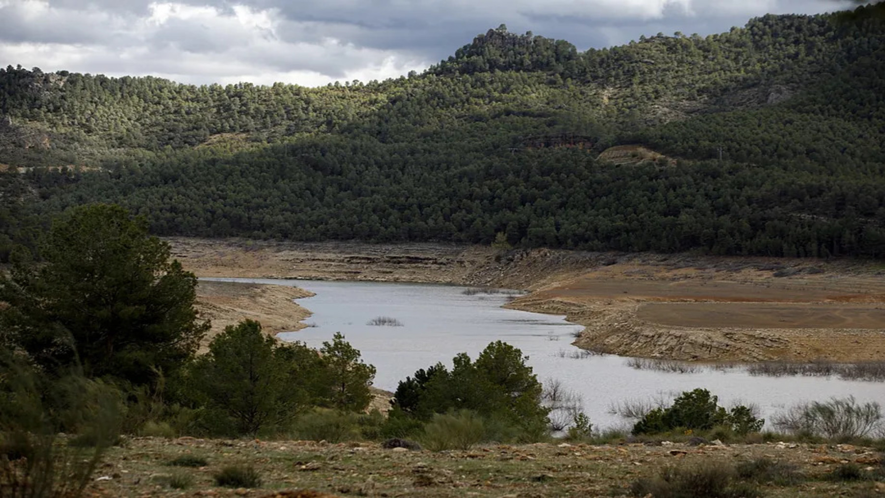 Bosques mediterráneos y calor extremo