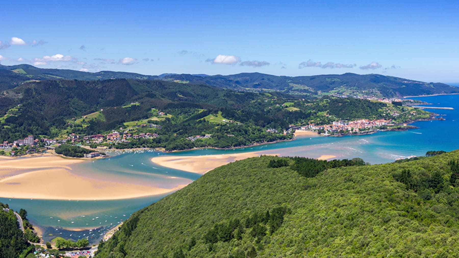 Bizi Natura muestra la vida salvaje de Urdaibai mediante cámaras instaladas en espacios naturales