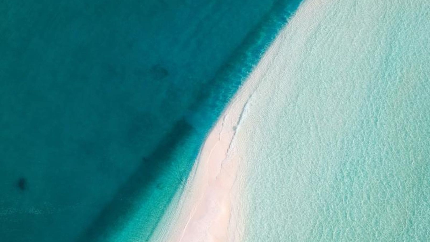 La imagen muestra una playa vista desde el aire, por lo que debe describir exactamente lo que aparece y relacionarlo con la noticia.