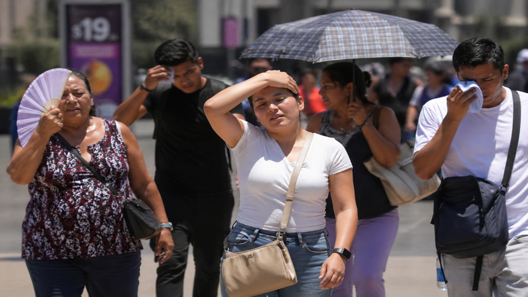 Cómo reducir el calor extremo en las ciudades con cubiertas blancas y parques urbanos