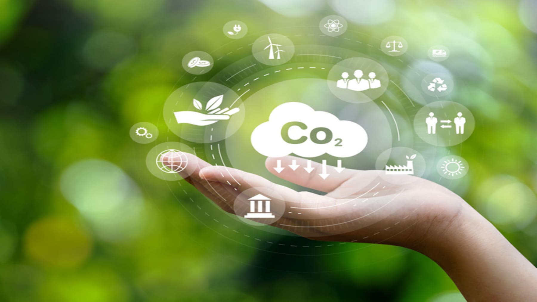 Galicia acelera una gran revolución industrial con CO2 verde y biocombustibles
