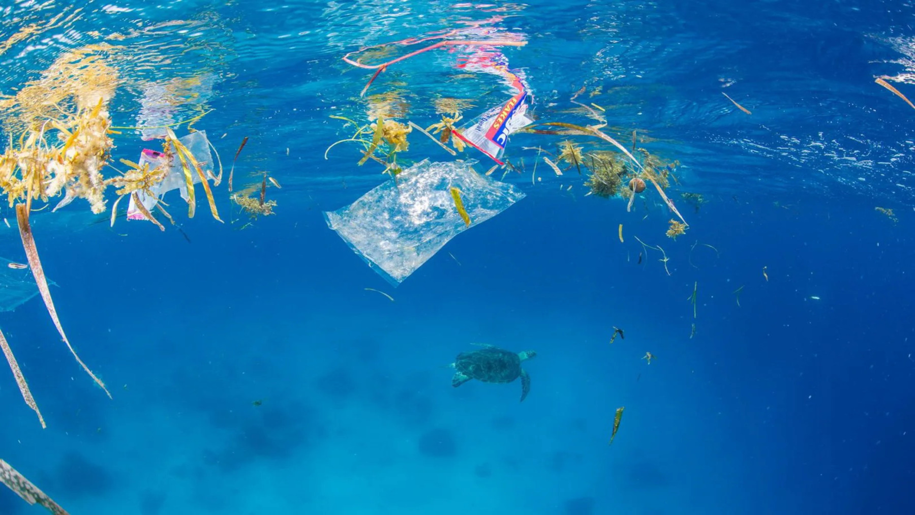 Gravity Wave elimina plásticos del Mediterráneo junto a pescadores y empresas colaboradoras