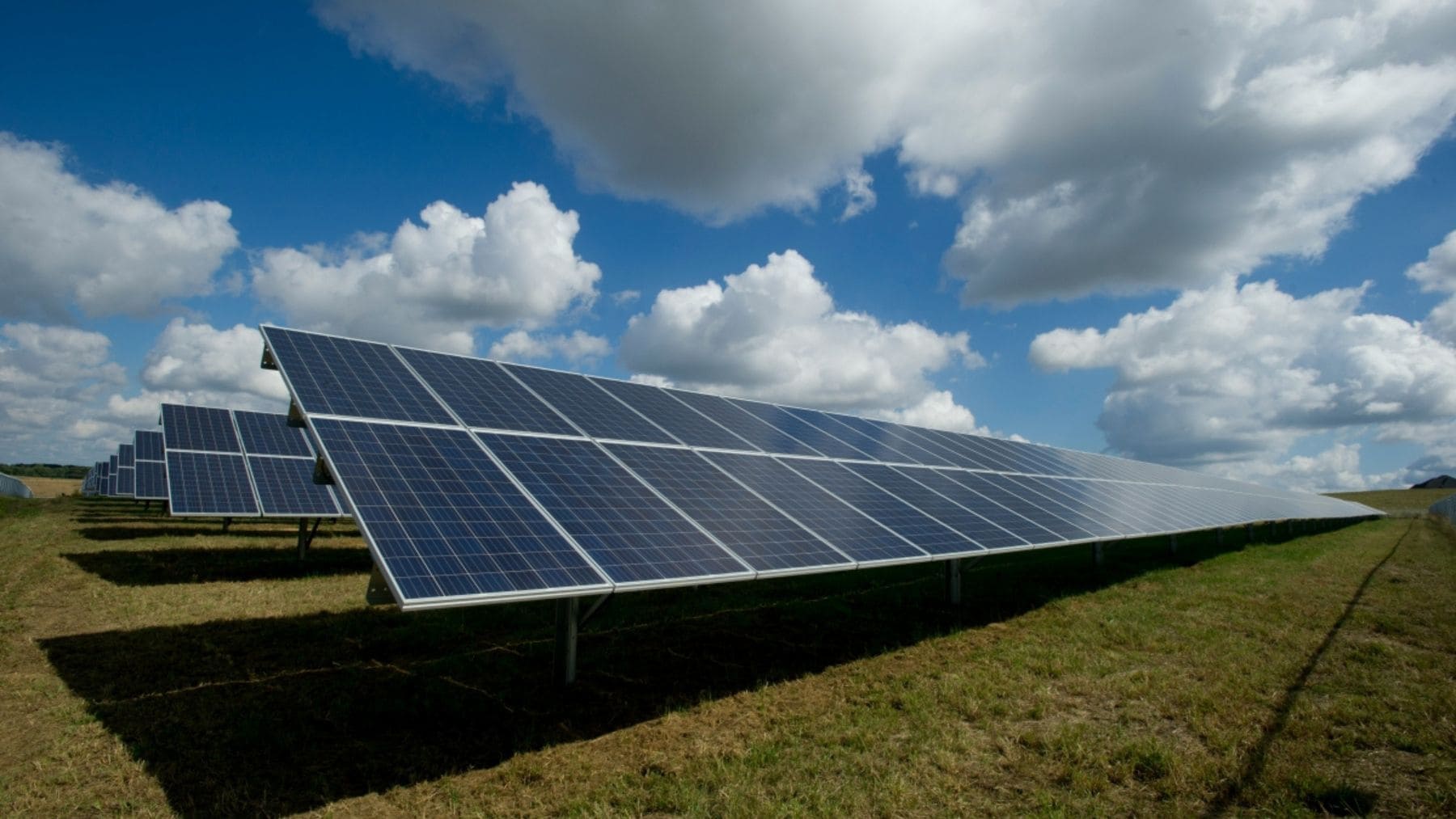 Paneles solares de una macroplanta fotovoltaica que ilustra el conflicto entre renovables y agricultores en el Vinalopó (Alicante).