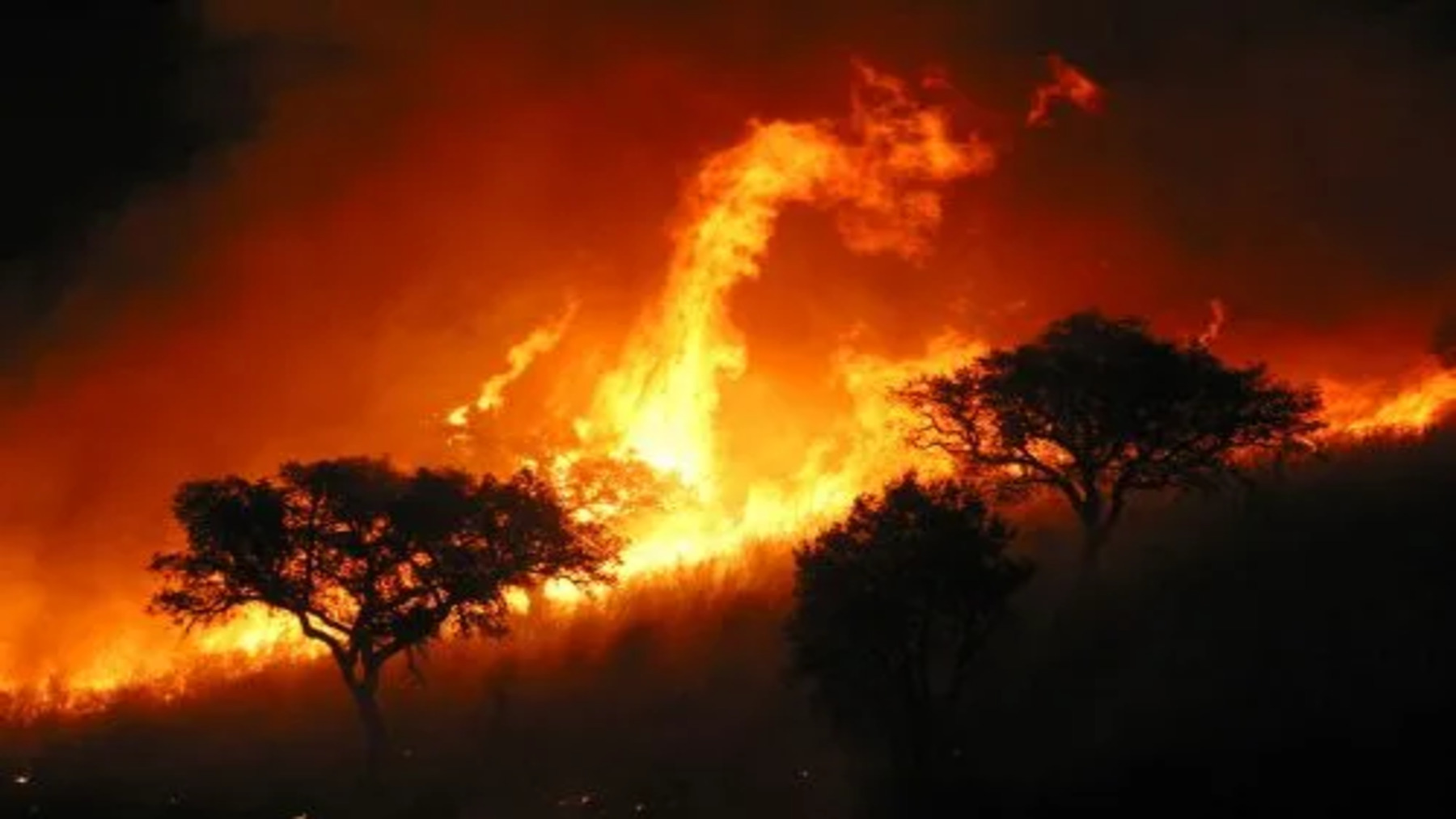 incendios forestales en España
