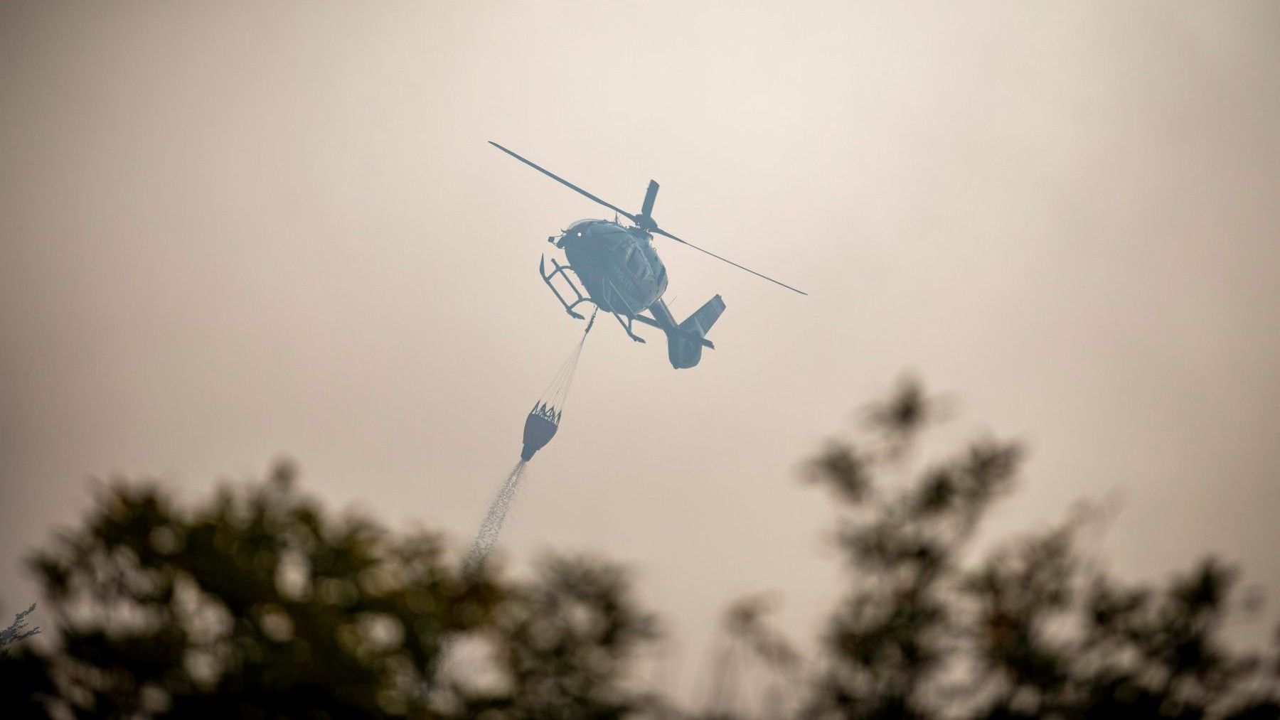 prevención de incendios en Galicia