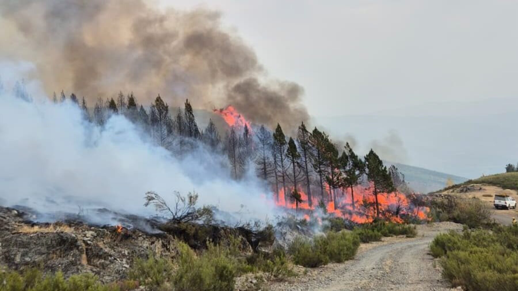 El Bierzo confía en controlar los incendios forestales