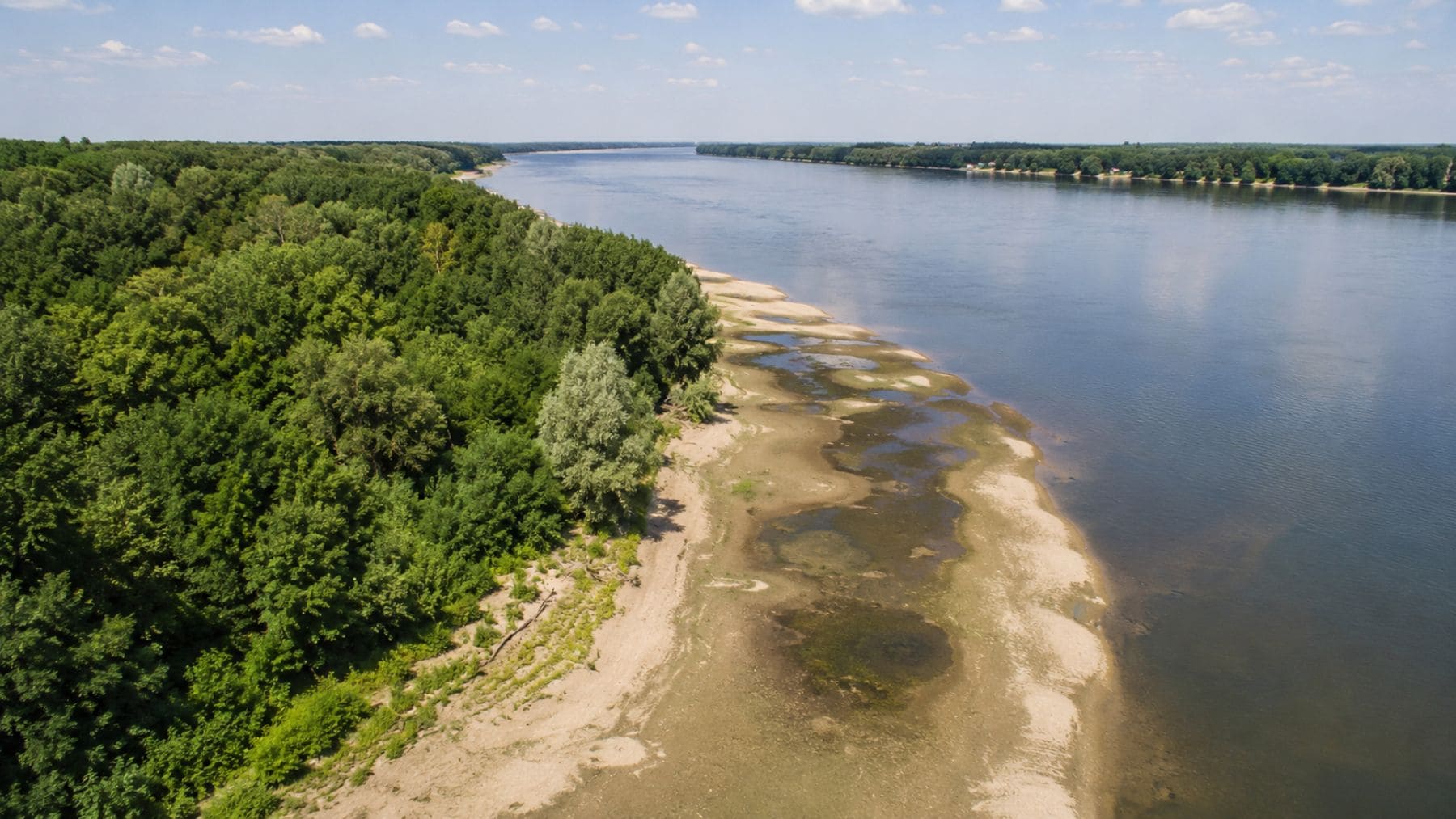 Vista aérea del río Danubio en Bulgaria con zonas de ribera afectadas por la sequía y proyectos de restauración ecológica